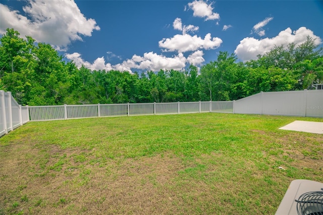 19247 Otters Wick Way, Land O Lakes, FL 34638 - view of yard