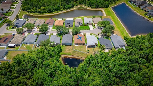 19247 Otters Wick Way, Land O Lakes, FL 34638 - aerial overview of property's location with nearby suburban area and a large body of water