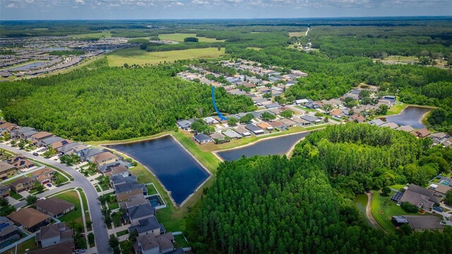 19247 Otters Wick Way, Land O Lakes, FL 34638 - view of property location featuring a large body of water, nearby suburban area, and a heavily wooded area