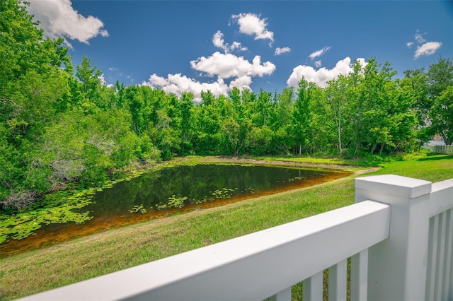 19247 Otters Wick Way, Land O Lakes, FL 34638 - view of yard featuring a water view and a balcony