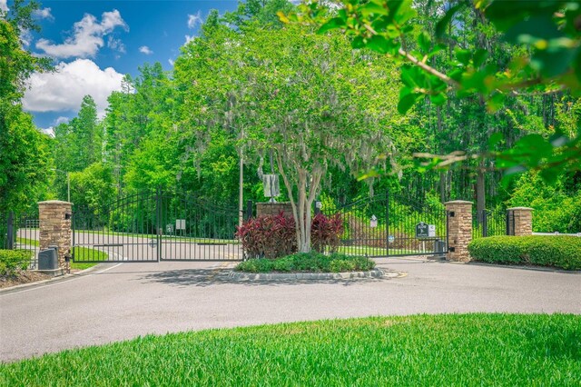 19247 Otters Wick Way, Land O Lakes, FL 34638 - view of gate