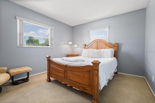 2048 64th Ave S, Saint Petersburg, FL 33712 - bedroom featuring carpet and baseboards