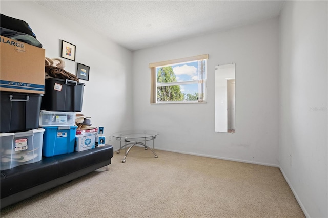 2048 64th Ave S, Saint Petersburg, FL 33712 - miscellaneous room with carpet flooring, a textured ceiling, and baseboards
