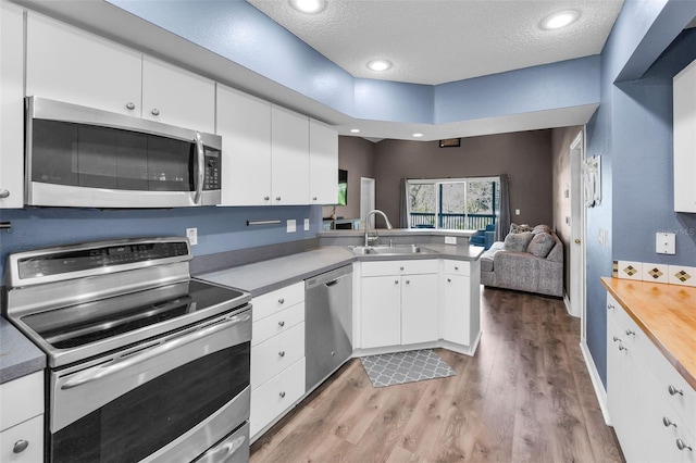 6521 Oelsner St, New Port Richey, FL 34652 - kitchen featuring appliances with stainless steel finishes, a sink, a peninsula, open floor plan, and white cabinets