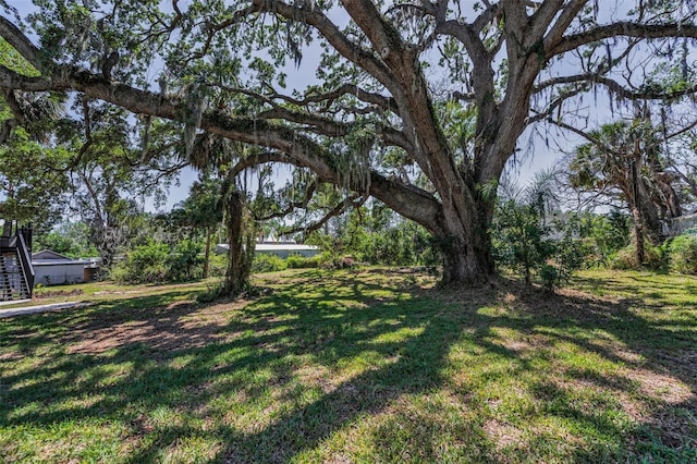 6521 Oelsner St, New Port Richey, FL 34652 - view of grassy yard