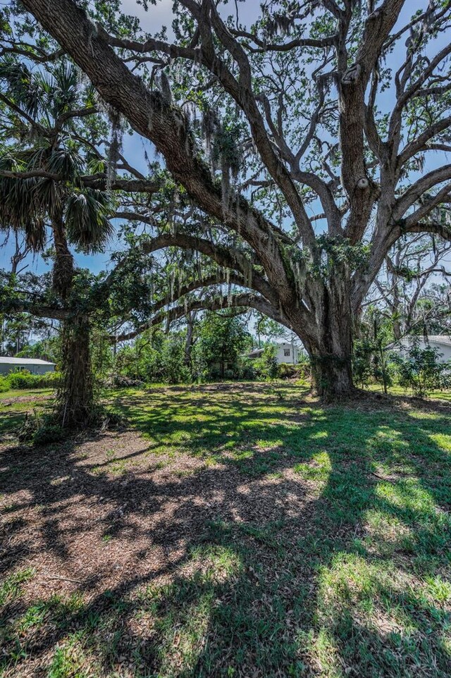 6521 Oelsner St, New Port Richey, FL 34652 - view of grassy yard