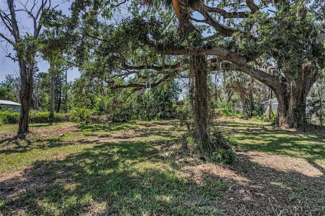 6521 Oelsner St, New Port Richey, FL 34652 - view of grassy yard
