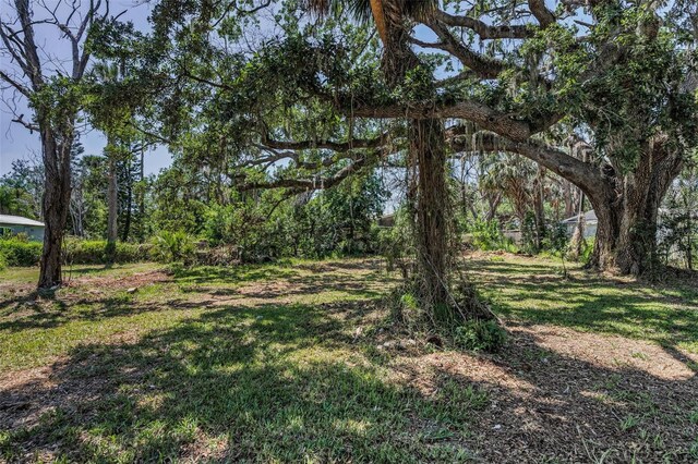 6521 Oelsner St, New Port Richey, FL 34652 - photo 31