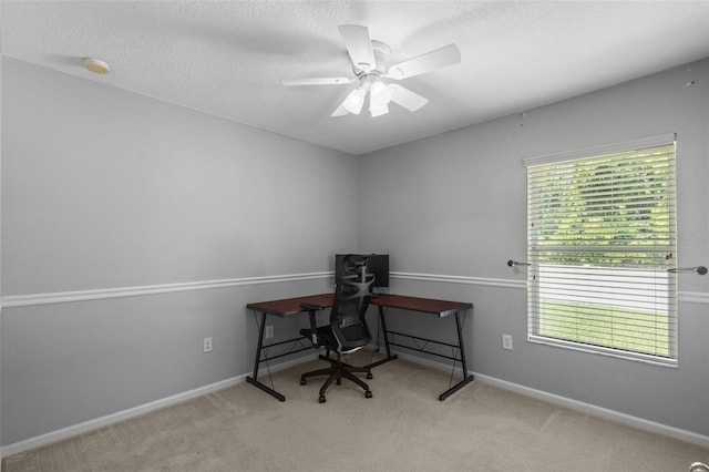 25332 Lexington Oaks Blvd, Wesley Chapel, FL 33544 - carpeted office space with healthy amount of natural light, ceiling fan, baseboards, and a textured ceiling