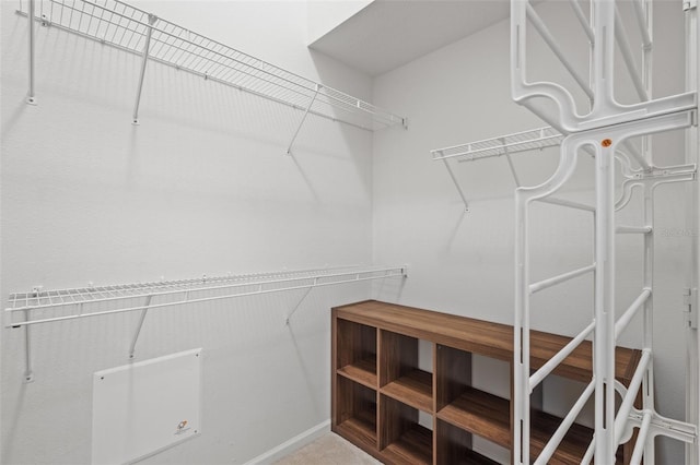 25332 Lexington Oaks Blvd, Wesley Chapel, FL 33544 - view of walk in closet