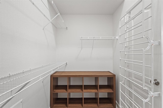 25332 Lexington Oaks Blvd, Wesley Chapel, FL 33544 - spacious closet with wood finished floors