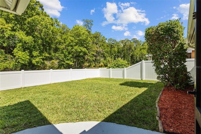 25332 Lexington Oaks Blvd, Wesley Chapel, FL 33544 - view of yard