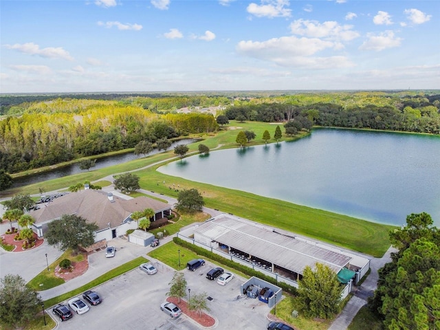 25332 Lexington Oaks Blvd, Wesley Chapel, FL 33544 - bird's eye view of a large body of water and a heavily wooded area
