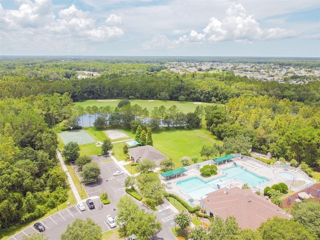 25332 Lexington Oaks Blvd, Wesley Chapel, FL 33544 - bird's eye view of a pool and a forest