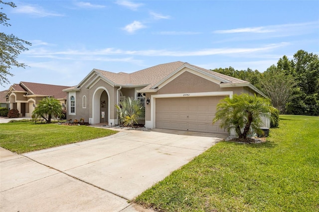 25942 Risen Star Dr, Wesley Chapel, FL 33544 - ranch-style home featuring stucco siding, an attached garage, driveway, and a front lawn