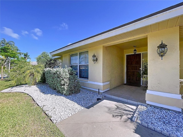 1599 Mcauliffe Ln, Palm Harbor, FL 34683 - property entrance with stucco siding