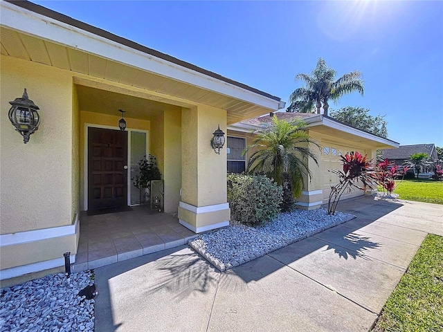1599 Mcauliffe Ln, Palm Harbor, FL 34683 - doorway to property featuring stucco siding