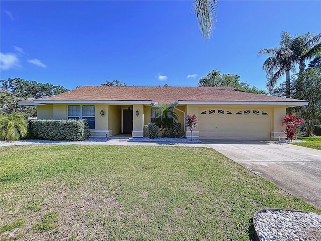 1599 Mcauliffe Ln, Palm Harbor, FL 34683 - ranch-style home featuring stucco siding, a garage, driveway, and a front lawn