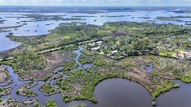 2220 S Coon Pt, Crystal River, FL 34429 - bird's eye view of a large body of water