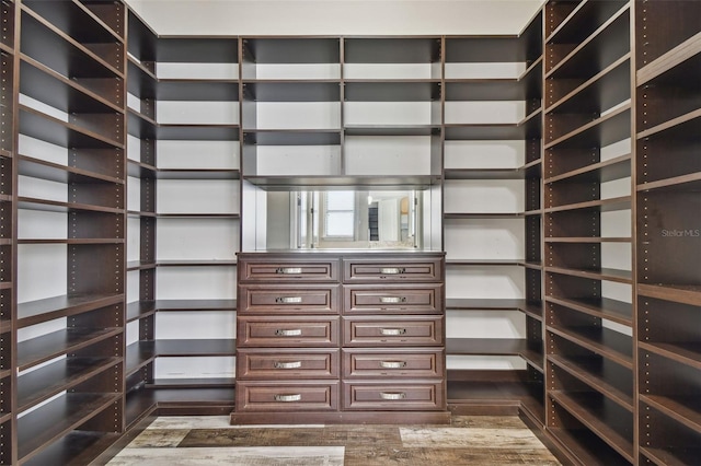 view of walk in closet