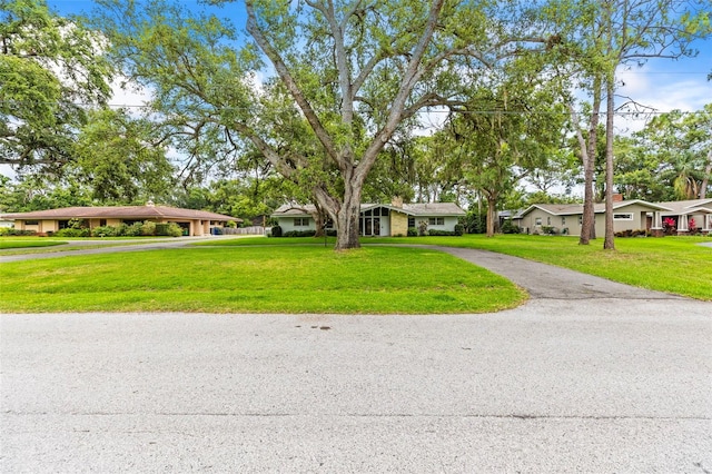 1675 Robin Hood Ln, Clearwater, FL 33764 - ranch-style house featuring driveway and a front yard
