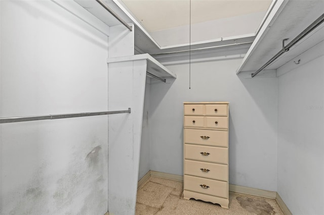 1675 Robin Hood Ln, Clearwater, FL 33764 - view of walk in closet