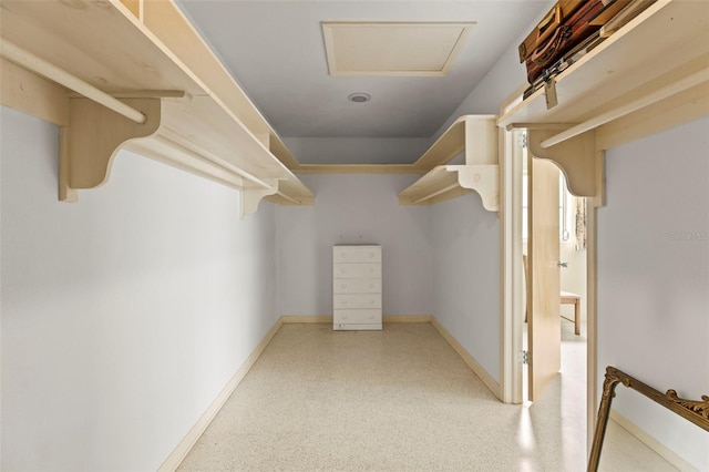 1675 Robin Hood Ln, Clearwater, FL 33764 - spacious closet with attic access