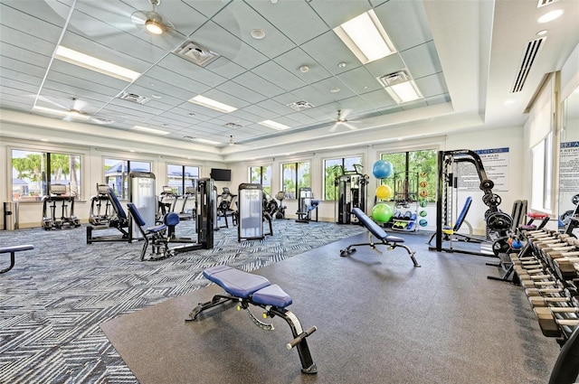 15525 Corona Del Mar Dr, Wimauma, FL 33598 - exercise room featuring a raised ceiling, carpet floors, and a drop ceiling
