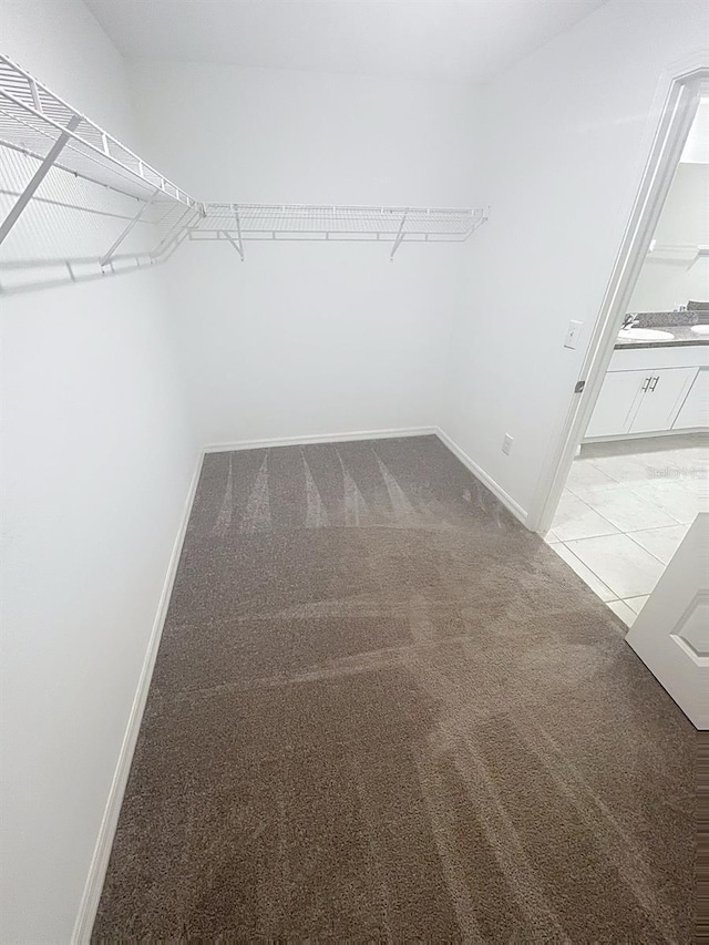11524 Sage Canyon Dr, Riverview, FL 33578 - walk in closet featuring light carpet