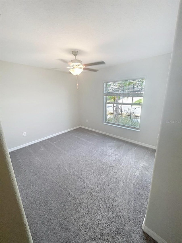 11524 Sage Canyon Dr, Riverview, FL 33578 - photo 38