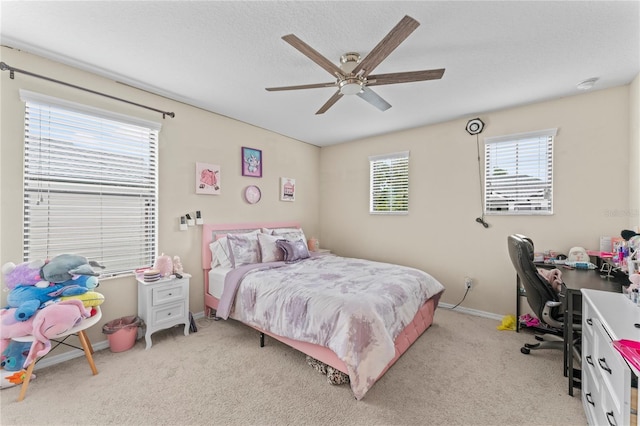 11706 Gilmerton Dr, Riverview, FL 33579 - photo 28