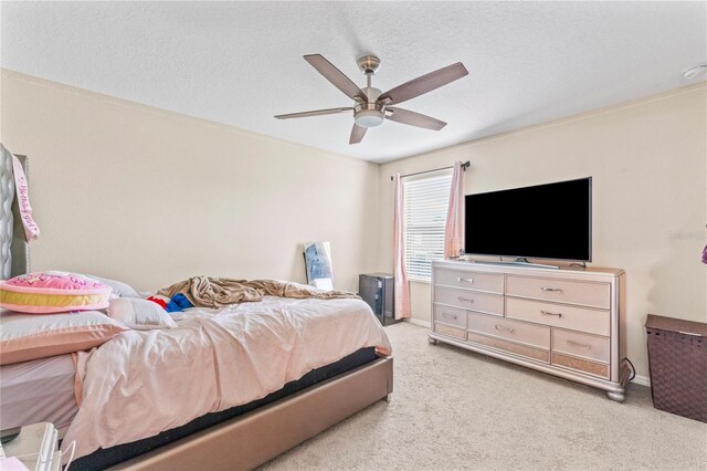 11706 Gilmerton Dr, Riverview, FL 33579 - photo 29