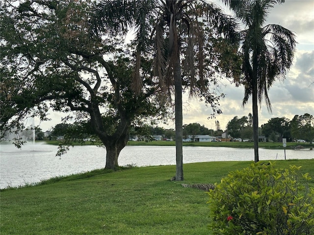 1200 37th St N Unit 403, Saint Petersburg, FL 33713 - view of grassy yard with a water view