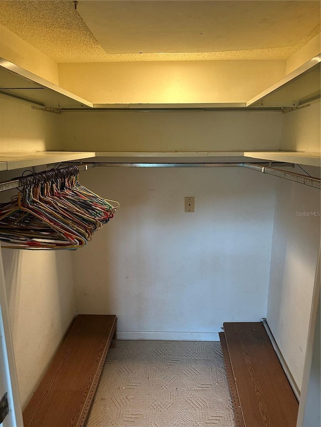 1200 37th St N Unit 403, Saint Petersburg, FL 33713 - view of walk in closet