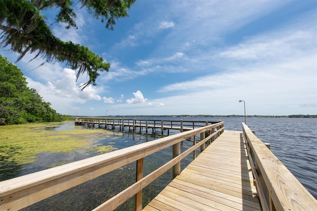 dock featuring a water view