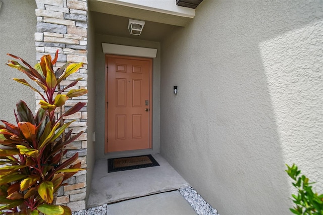 13603 Wild Ginger St, Riverview, FL 33579 - property entrance with stucco siding and stone siding