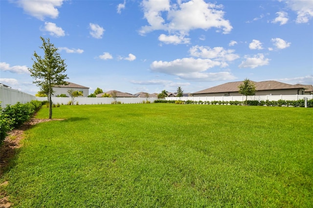 13603 Wild Ginger St, Riverview, FL 33579 - view of yard featuring fence