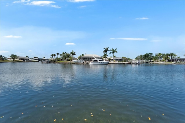 1028 Apollo Beach Blvd Unit 21, Apollo Beach, FL 33572 - water view