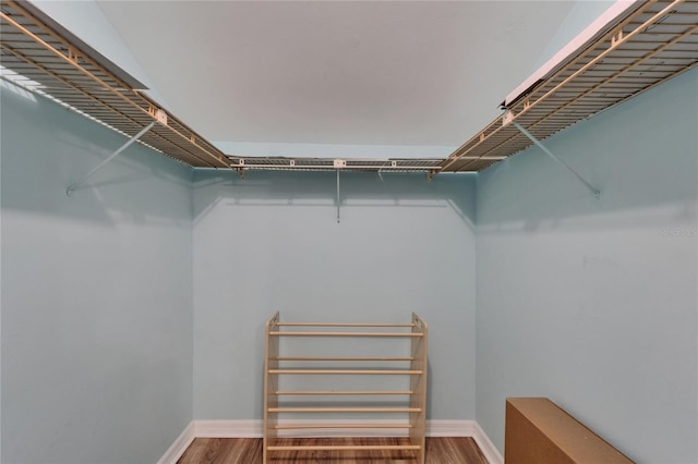 1028 Apollo Beach Blvd Unit 21, Apollo Beach, FL 33572 - walk in closet featuring wood finished floors