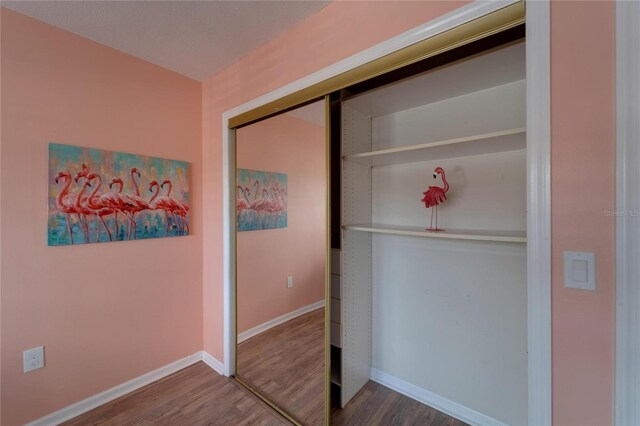 1028 Apollo Beach Blvd Unit 21, Apollo Beach, FL 33572 - view of closet