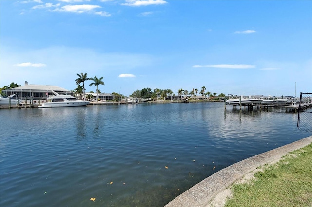 1028 Apollo Beach Blvd Unit 21, Apollo Beach, FL 33572 - water view with a dock