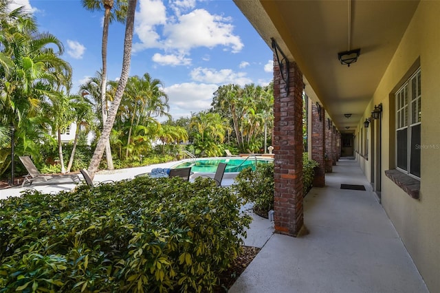 208 Danube Ave Unit 101, Tampa, FL 33606 - view of patio / terrace with an outdoor pool