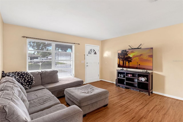 2222 Euclid Cir N, Clearwater, FL 33764 - living area featuring baseboards and wood finished floors