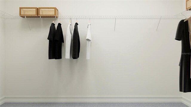 11761 E 71st Ter, Palmetto, FL 34221 - view of spacious closet