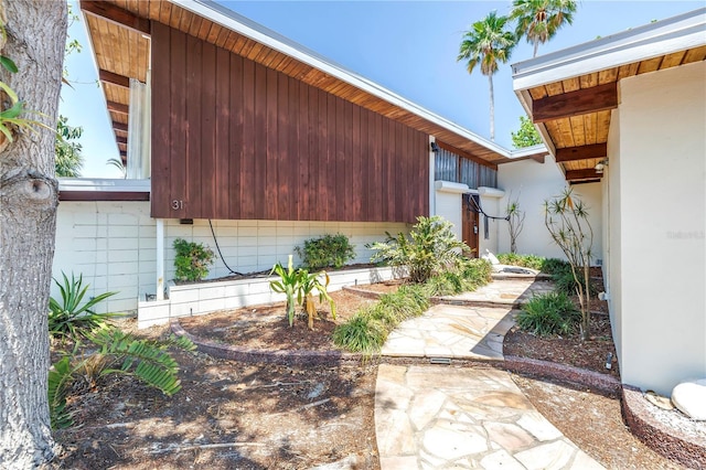 31 Dolphin Dr, Treasure Island, FL 33706 - view of yard