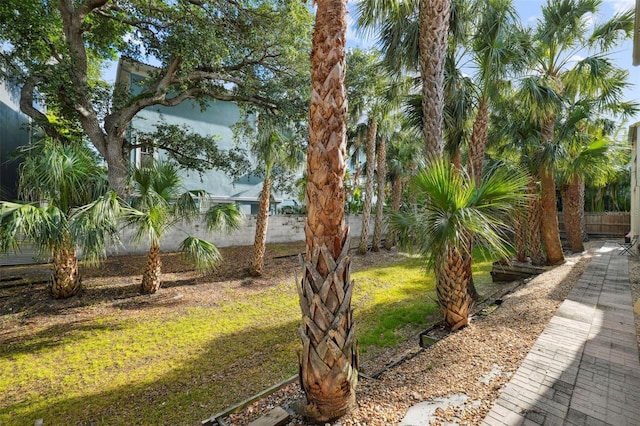 3102 W Horatio St Unit 13, Tampa, FL 33609 - view of yard with fence