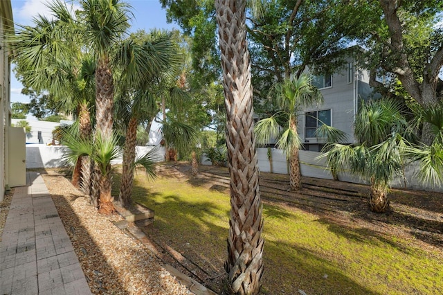3102 W Horatio St Unit 13, Tampa, FL 33609 - view of yard