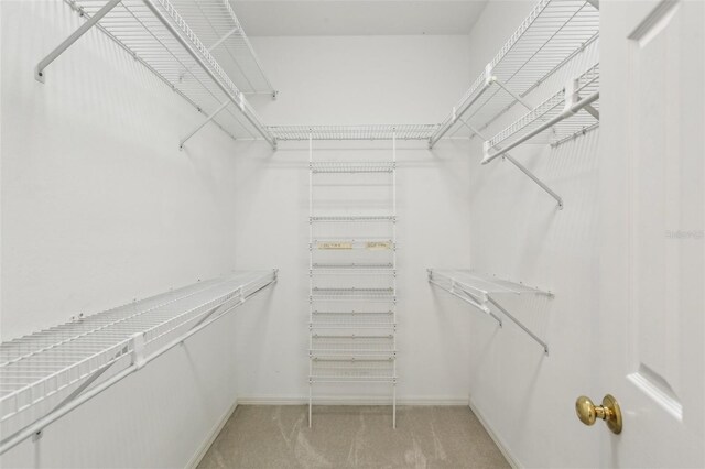 3311 Stonebridge Trl, Valrico, FL 33596 - walk in closet featuring light colored carpet
