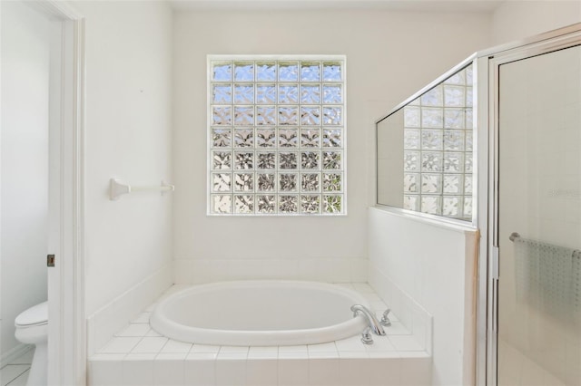 3311 Stonebridge Trl, Valrico, FL 33596 - full bathroom with a garden tub, a stall shower, and healthy amount of natural light