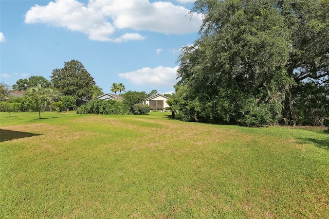 3311 Stonebridge Trl, Valrico, FL 33596 - view of grassy yard